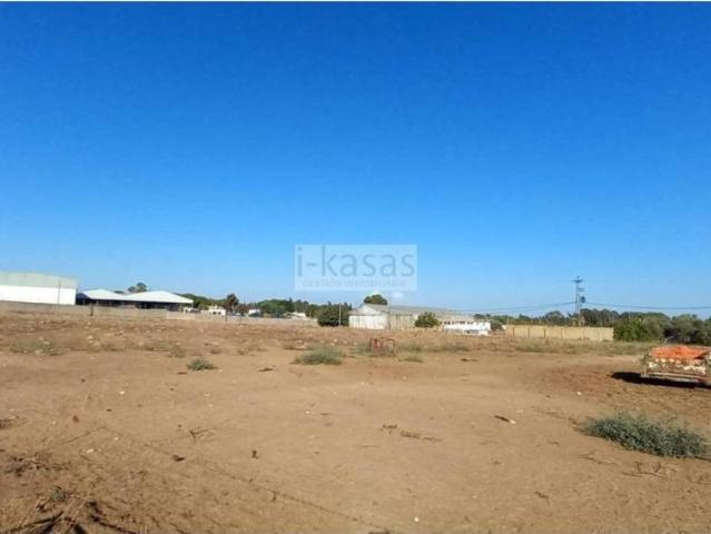 Terreno en venta en Campiña de Jerez, Andalucía