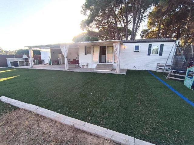 Terreno en venta en Campiña de Jerez, Andalucía