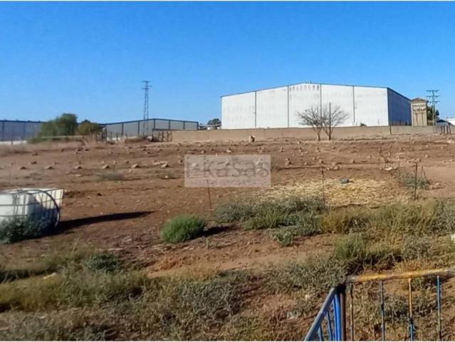 Terreno en venta en Campiña de Jerez, Andalucía