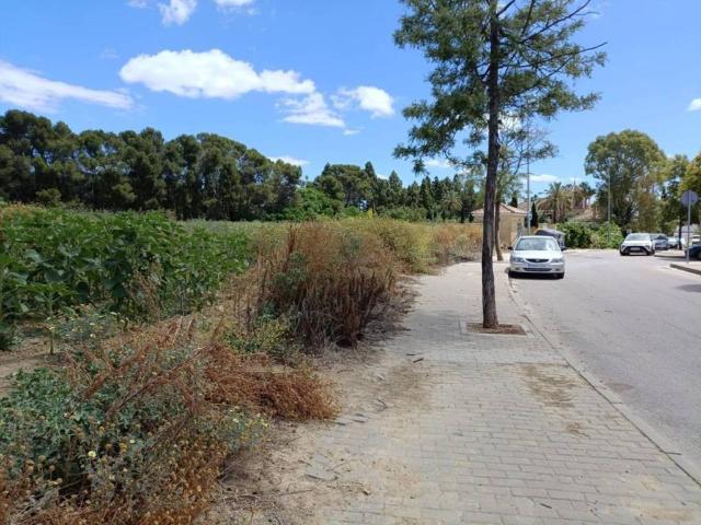 Terreno en venta en Campiña de Jerez, Andalucía