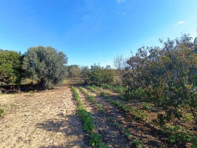 Terreno en venta en Campiña de Jerez, Andalucía