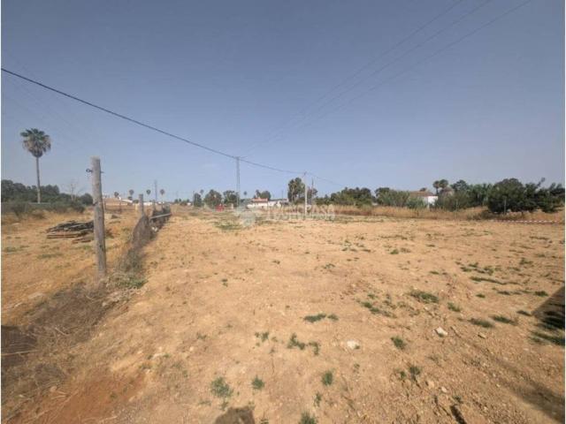 Terreno en venta en Campiña de Jerez, Andalucía