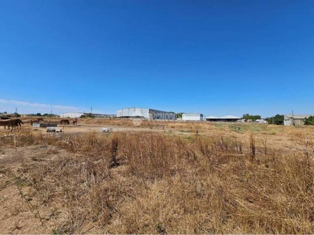 Terreno en venta en Campiña de Jerez, Andalucía