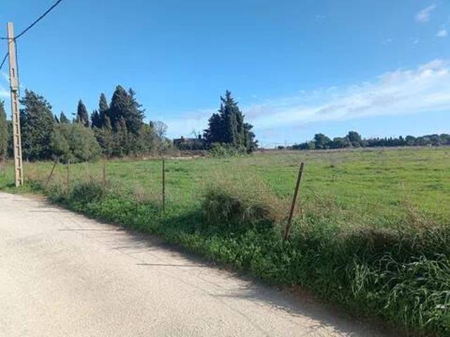 Terreno en venta en Los Albarizones, Campiña de Jerez