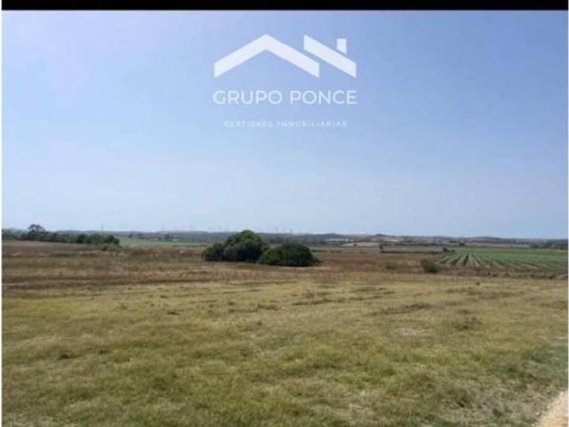 Terreno en venta en Campiña de Jerez, Andalucía