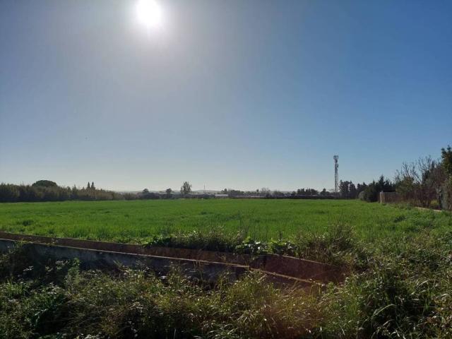 Terreno en venta en Campiña de Jerez, Andalucía