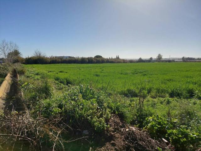 Terreno en venta en Campiña de Jerez, Andalucía