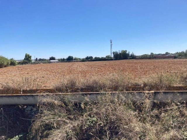 Terreno en venta en Campiña de Jerez, Andalucía