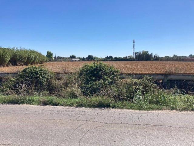 Terreno en venta en Campiña de Jerez, Andalucía