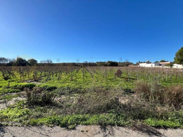Terreno en venta en Campiña de Jerez, Andalucía
