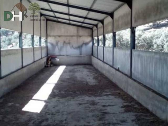 Terreno en venta en Jerez De Los Caballeros