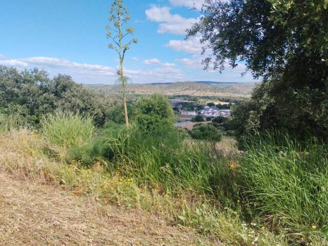 Terreno en venta en Sierra Suroeste, Extremadura