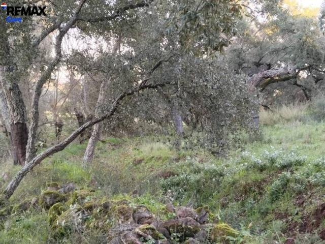 Terreno en venta en Sierra Suroeste, Extremadura