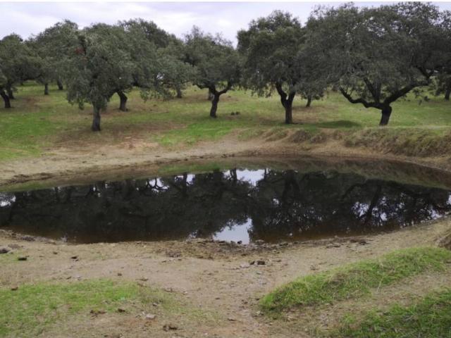 Terreno en venta en Sierra Suroeste, Extremadura