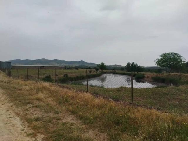 Terreno en venta en Sierra Suroeste, Extremadura