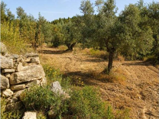 Terreno en venta en l'Alt Palància, Valencia