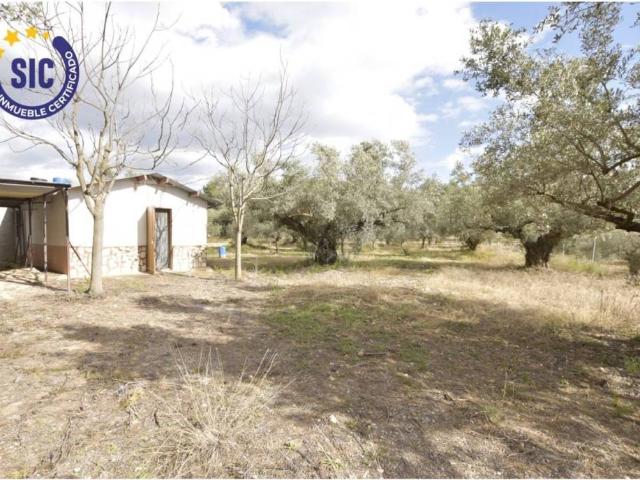 Terreno en venta en l'Alt Palància, Valencia