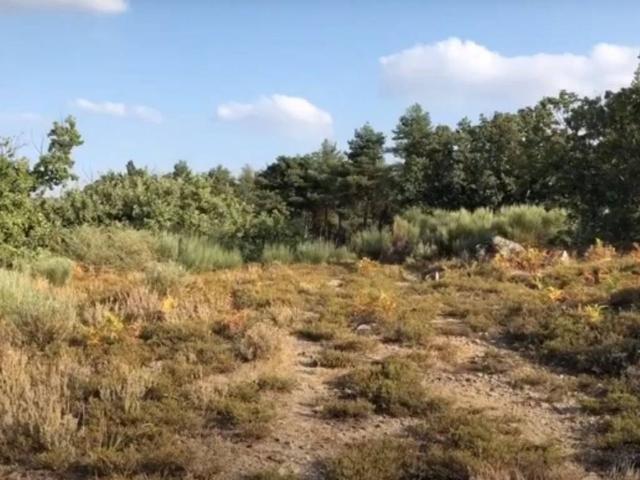 Terreno en venta en Jerte, Extremadura