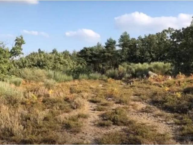 Terreno en venta en Jerte, Extremadura
