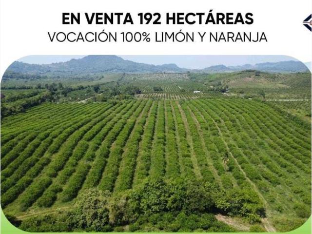 Terreno en venta en Nautla, Veracruz