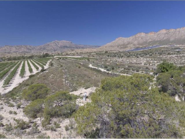 Terreno en venta en l'Alacantí, Valencia