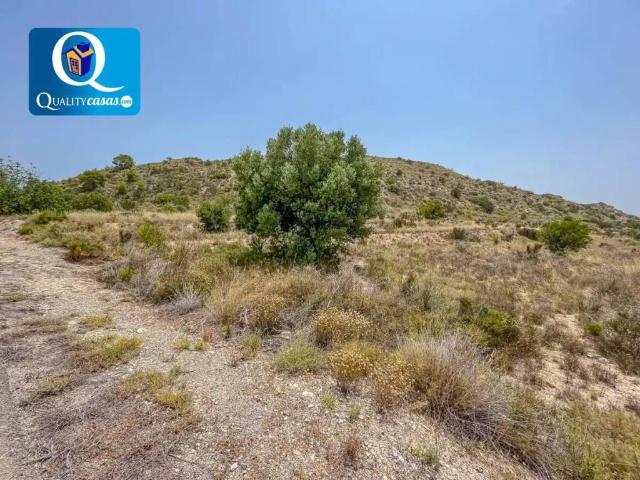 Terreno en venta en l'Alacantí, Valencia