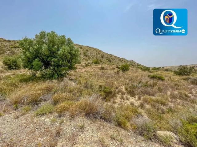 Terreno en venta en l'Alacantí, Valencia
