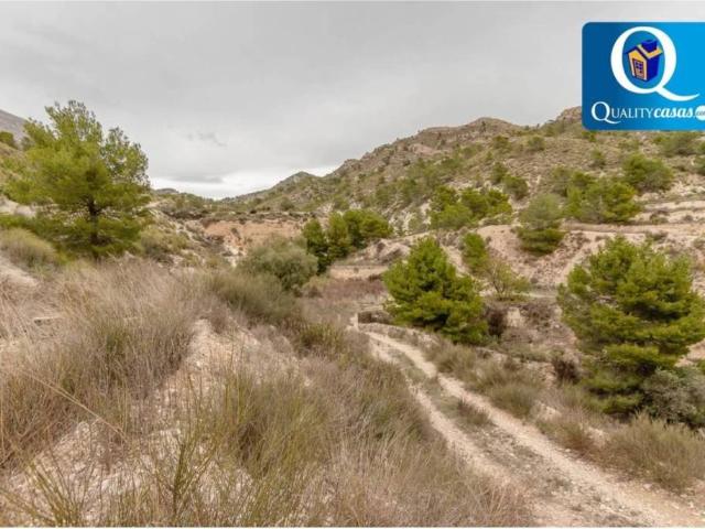 Terreno en venta en l'Alacantí, Valencia