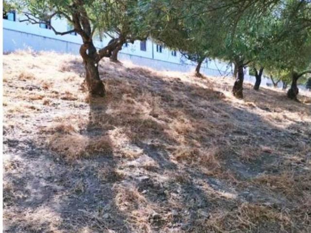 Terreno en venta en Serranía de Ronda, Andalucía