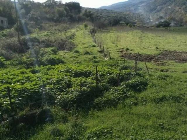 Terreno en venta en Serranía de Ronda, Andalucía