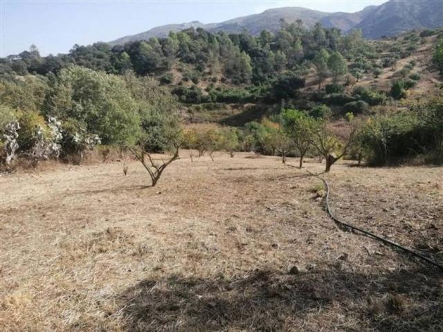 Terreno en venta en Serranía de Ronda, Andalucía
