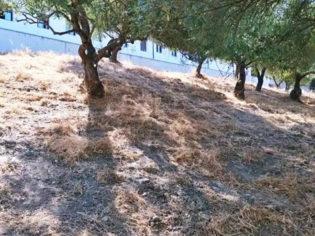 Terreno en venta en Serranía de Ronda, Andalucía