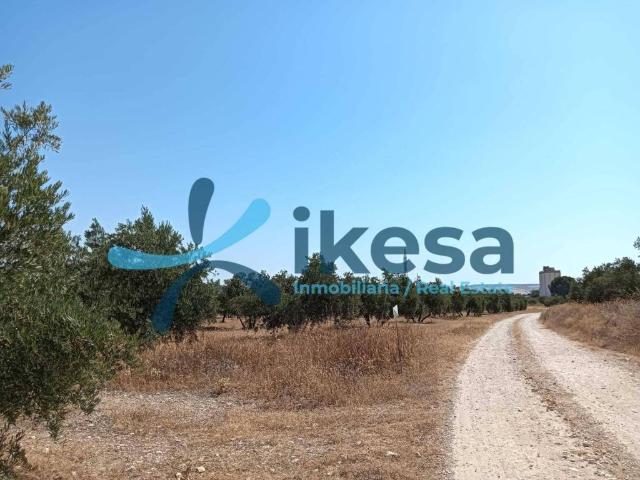 Terreno en venta en Jódar, Andalucía