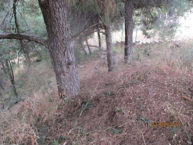 Terreno en venta en Anoia, Catalunya