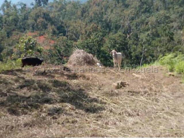 Propiedad en venta en Trujillo