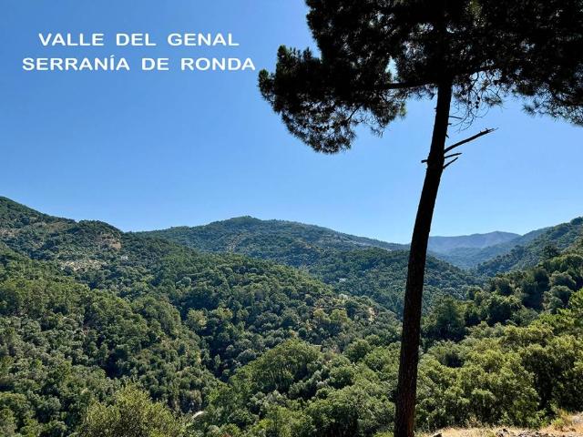 Terreno en venta en Jubrique