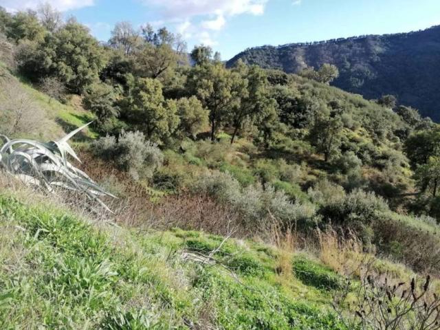 Terreno en venta en Serranía de Ronda, Andalucía