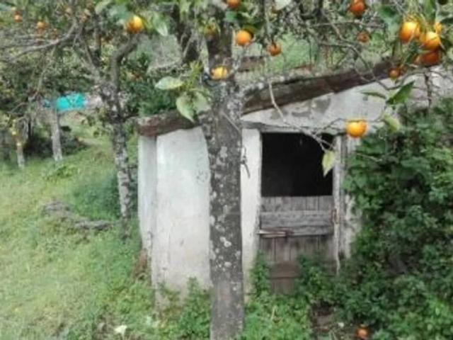 Terreno en venta en Serranía de Ronda, Andalucía