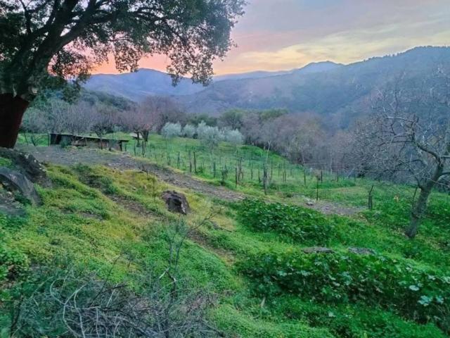 Terreno en venta en Serranía de Ronda, Andalucía