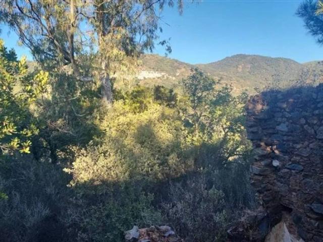 Terreno en venta en Serranía de Ronda, Andalucía