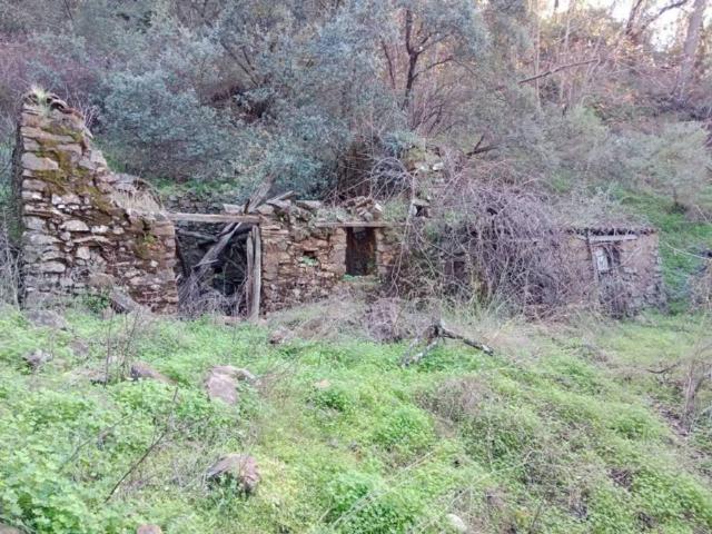 Terreno en venta en Serranía de Ronda, Andalucía