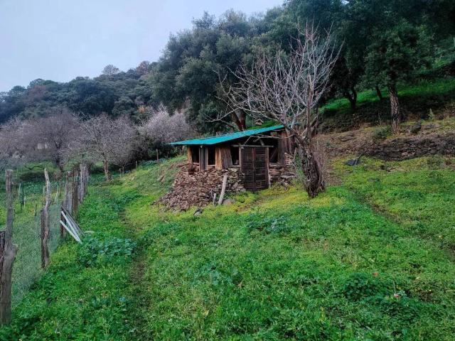 Terreno en venta en Jubrique