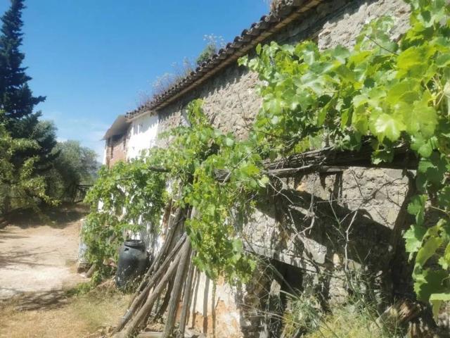 Terreno en venta en Jubrique