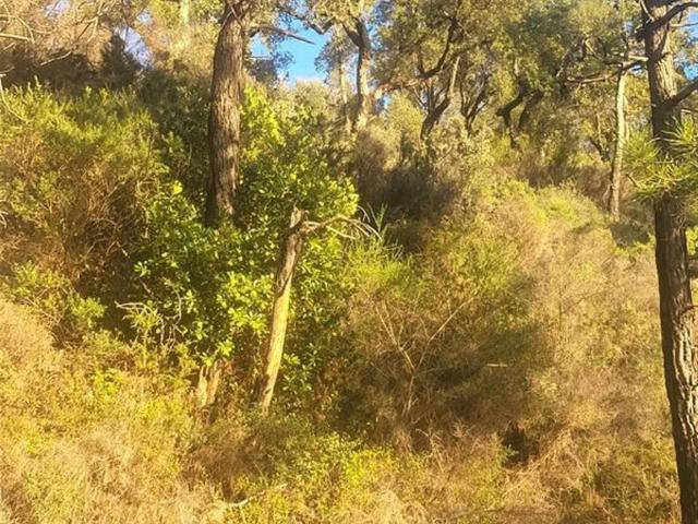 Terreno en venta en Jubrique