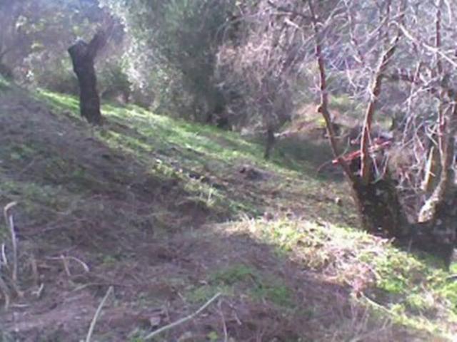 Terreno en venta en Jubrique