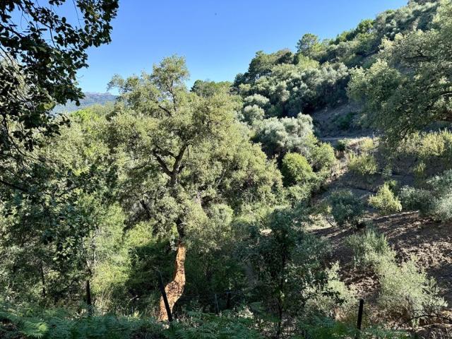 Terreno en venta en Jubrique