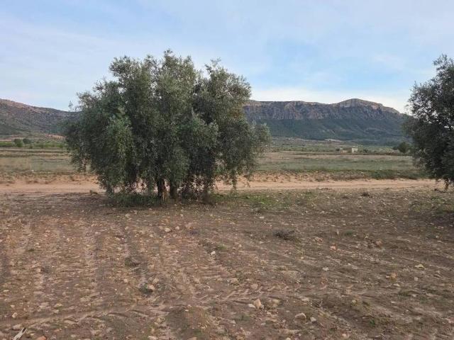 Terreno en venta en Altiplano, Murcia