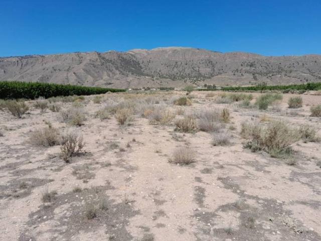 Terreno en venta en Altiplano, Murcia