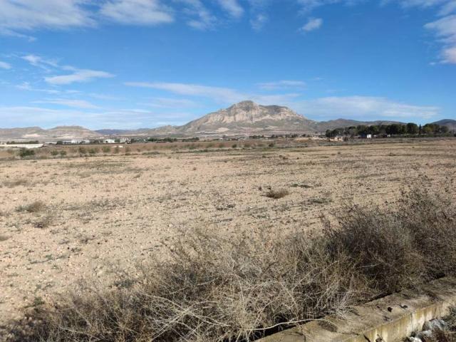 Terreno en venta en Altiplano, Murcia