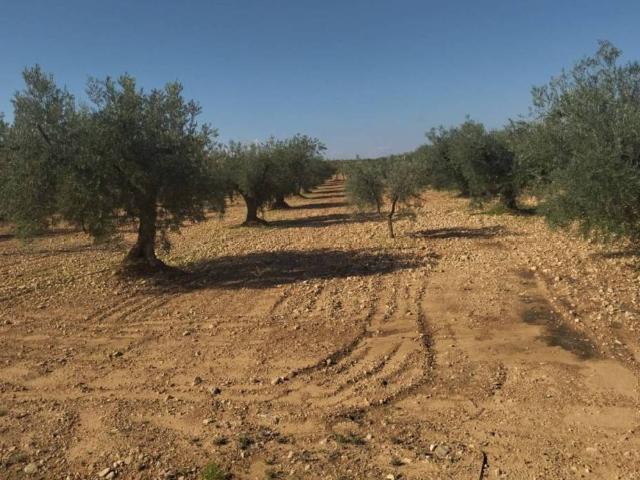 Terreno en venta en Altiplano, Murcia